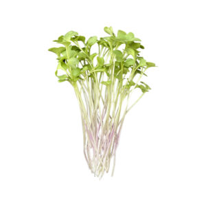 Kale Bunch